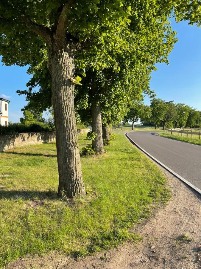 Mitten In Der : Mit 3 Schlafzimmern, Neu Eingerichtet * Neu Gaarz